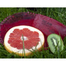 FREPRO WAVE 2.0 Urinaleinlage 2 Stück – Kiwi Grapefruit